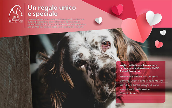 regalo-virtuale-san-valentino-animali-ecard-lndc-animal-protection